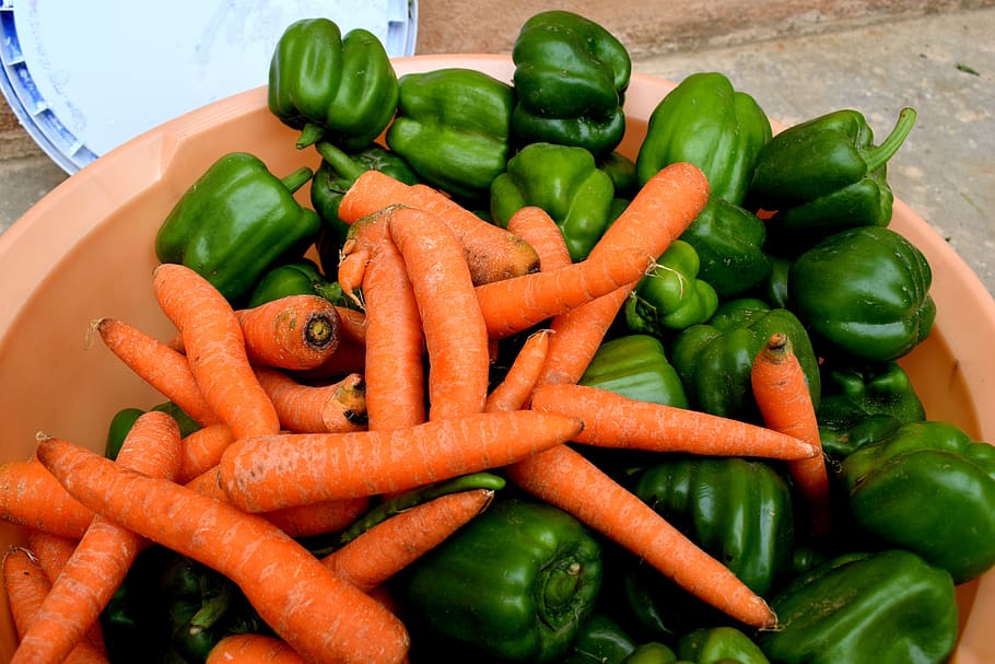 Vegetables Farm